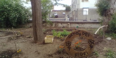CURA DEGLI ORTI URBANI
